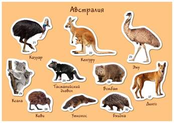 Магнитная развивающая игра "Кто где живёт, Африка-Арктика-Австралия" (Арт. 8004)