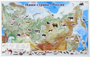 Набор магнитных карточек "Животные" (Арт. 2073)