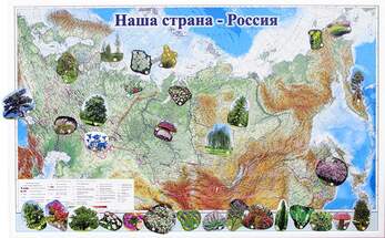 Набор магнитных карточек "Растения" (Арт. 2074)
